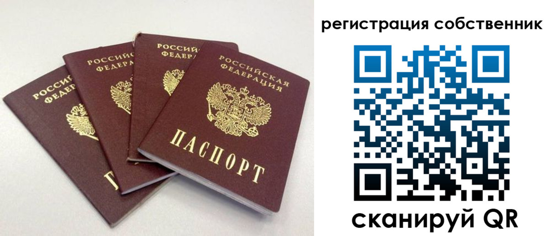 прописка для школы в Муравленко